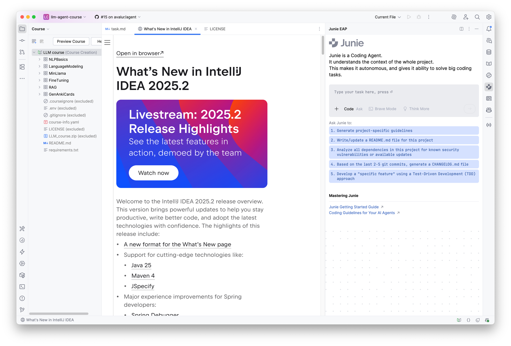 IntelliJ IDEA 2025.2